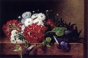 unknow artist Floral, beautiful classical still life of flowers.036 Spain oil painting artist
